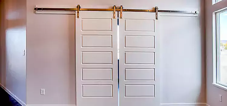 Glass Barn Door with Installation Hardware Kit South Salt Lake